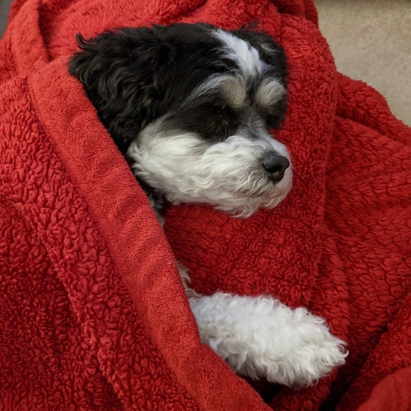 Meet your Posher, Caitlin - Picture 1 of 1